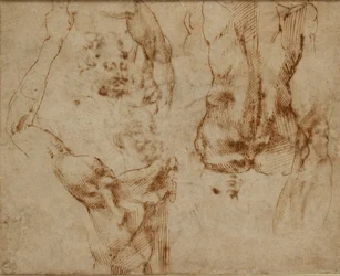 Nøgenstudier, c1490-1560