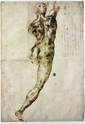 Nøgen bagfra, ca. 1504