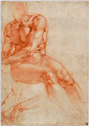 Siddende ung mandlig nøgenmodel og to armstudier, ca. 1510-1511