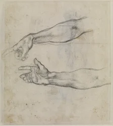 Studier af en udstrakt arm til freskoen "Noahs beruselse" i Det Sixtinske Kapel, ca. 1508-09 (sort kridt på papir)