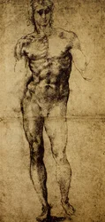 Studie for en mandlig nøgen, Michelangelo Buonarroti (1475-1564), tegning, Paris, Louvre-museet