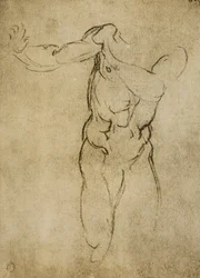 Studie til en maskulin buste, tegning af Michelangelo. Casa Buonarroti, Firenze