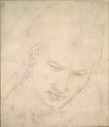 Studie af et hoved, c1490-1560