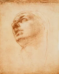 Studie af et ansigt, tegning af Michelangelo. Casa Buonarroti, Firenze