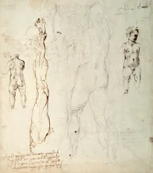 Studie af Kristusbarnet og en anatomisk tegning med noter (sort kridt og brunt blæk på papir) (verso)