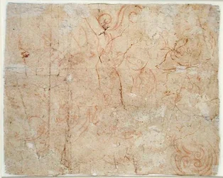 Forskellige undersøgelser, ca. 1525 (rødt kridt på papir)