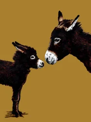 Æselmor og baby på Golden Yellow, 2020