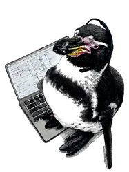 New Job Penguin on White, 2020