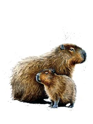 The Capybaras on White, 2019
