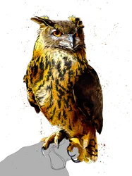 Ørneuglen på hvidt, 2019