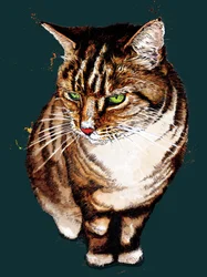 Tabby Cat på Deep Cyan, 2020