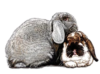 Tænker på Bunnies on White, 2020