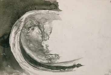 Perlemusling, 1904