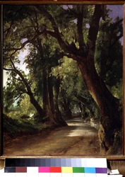 Udsigt ved Albano nær Rom (Italien). (Se i Albano nær Roma). Beskrivelse af en grusvej mellem tårnhøje træer. Maleri af Mikhail Ivanovich Lebedev (1811-1837), olie på lærred, 1800-tals landskab. Statens Tretyakov-galleri, Moskva.