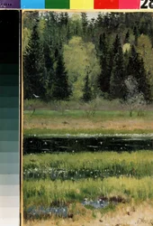 Landskab (Landskab). Maleri af Mikhail Vasilyevich Nesterov (1862-1942), olie på pap
