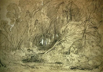 A Clearing in a Wood (sort-hvidt kridt på papir)