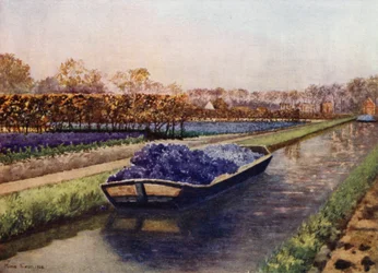 En bådladning af duft (farve litho)