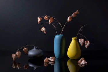 Moderne botaniske vaser