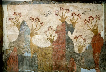 Minoisk kunst: "" Spring"" Fresco fra Akrotiri til Santorini. 16. århundrede f.Kr. Athen, det nationale arkæologiske museum