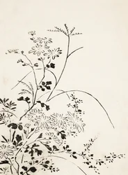 Efterårsblomster og græs (1762)