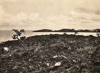 Opbygning af et imperium i den fascistiske tidsalder: Lake Tana. Etiopien, 09/05/1936 (s/hvid foto)