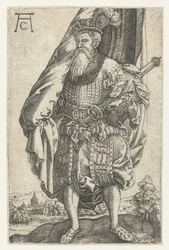 Standard bærer