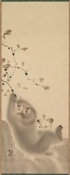 Abe, der hænger på en gren