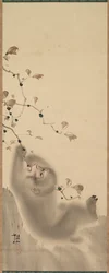 Abe hænger på en gren, 1780.