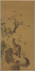 Aber på en klippeafsats, 1615-1868.