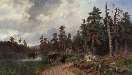 Elge og jægere i fyrreskov