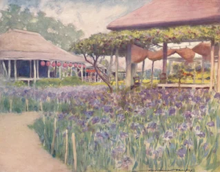 En iris-have, 1903