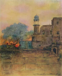 Mor, 1905