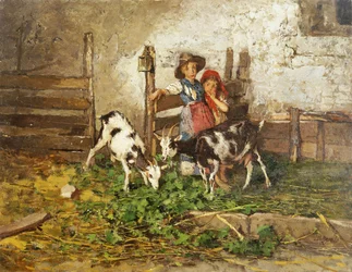 Børn og geder i en lade,