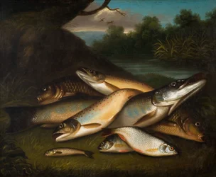Fisk, 1790.
