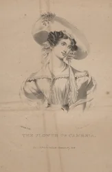 The Flower of Cambria, litho af C.G. Børn, 1830