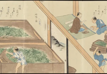 Illustrationer af teproduktion i Uji