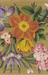 Side fra St. Petersburg Album, Indien, 1727 (farve på guldgrund)