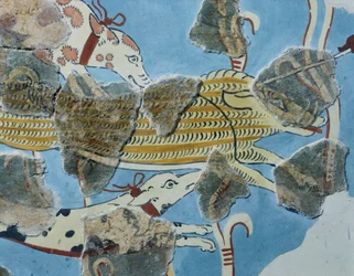 Fresco fra Tirinto Palace (Grækenland). Detalje: gruppe hunde angriber et vildsvin. Mykensk civilisation
