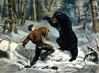 The Life of Trappers (Professional Hunters) i Canada: En jæger bliver angrebet af en Grizzlybjørn. Illustration af Yves og Currier.