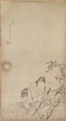 Hvalpe, spurve og krysantemum, 1754-1799.