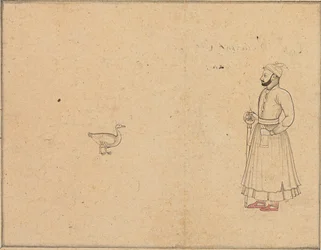 Raja Balwant Dev Singh og en svane, ca. 1750-55