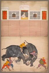 To elefanter, der kæmper i en gårdsplads før Muhammad Shah, ca. 1730-40.