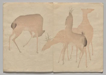 Scene fra The Kōrin Picture Book (bind 1)