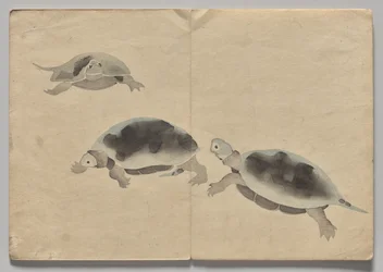 Scene fra The Kōrin Picture Book (bind 2)