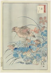 Two Quails in Bush, 1859 (træbloktryk i farver)