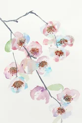 Delikate lyserøde blomster