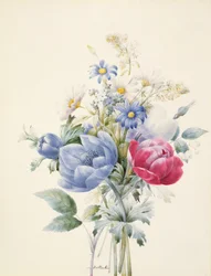 En rose, anemone, Mignonette og tusindfryd (wc og gouache på vellum)