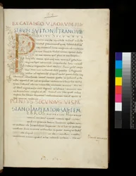 Ms 394.1. Plinius den ældre, Historia naturalis, f.1r. Oplyst initial [P] med dekoration af hvid vinstokke (ufærdig), Napoli, midten af 1400-tallet, ca. 1442 (pergament)