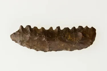 Bifacial segl, ca. 4500–4000 f.Kr. (flint)