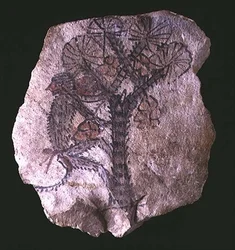 Ostracon forestiller en abe, der klatrer i et træ